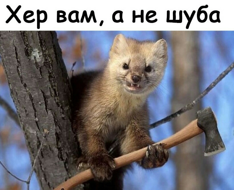 Хер вам а не шуба