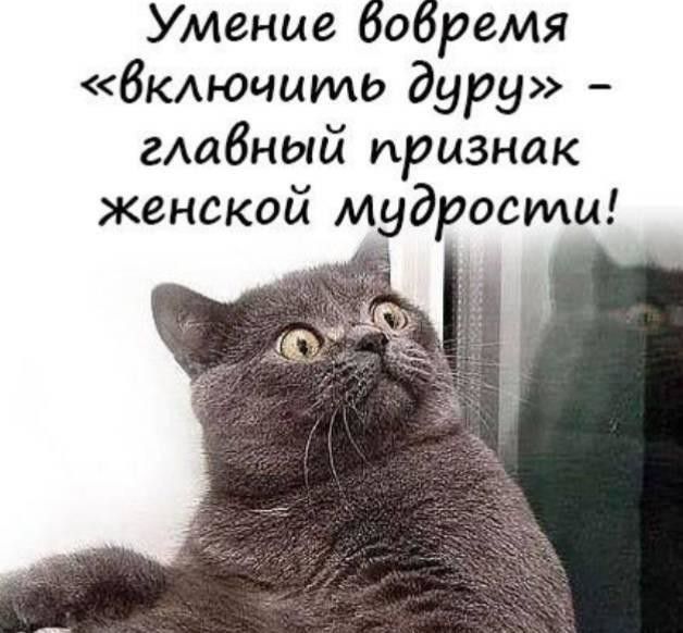 Умение бобремя бкдючимь дуру гАабный признак женской мудрости