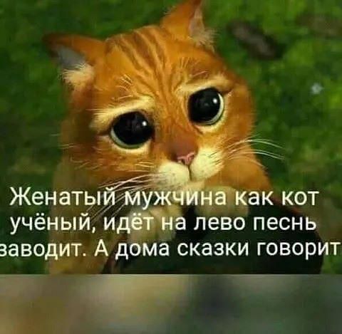 Женаты учёный и лево песнь заводит А дома сказки говорит