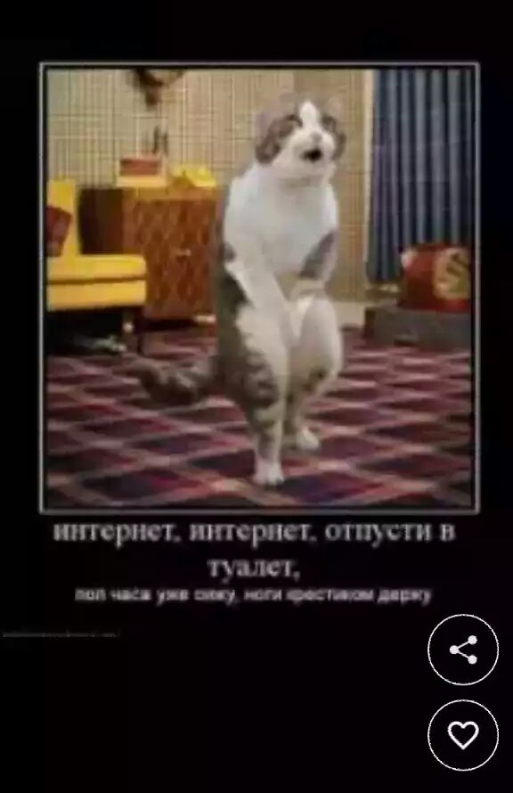 тггсрийт итернет отпЗЁи й ЪЮі щ шоки ___