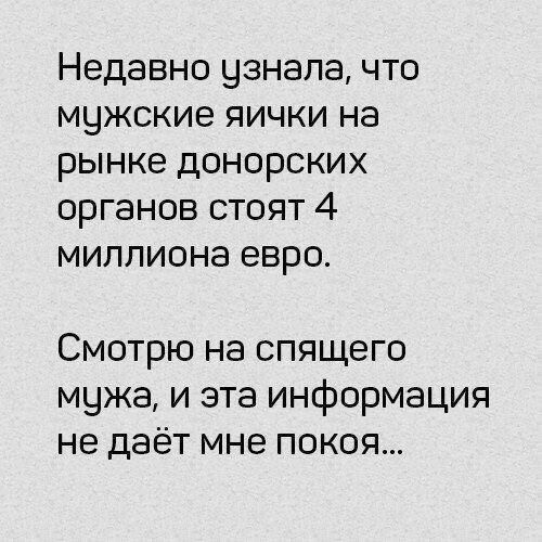 Недавно чзнала что мужские яички на рынке донорских органов стоят 4 миллиона евро Смотрю на спящего мчжа и эта информация не даёт мне покоя