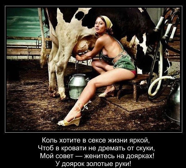 Коль хотите в сексе жизни яркой Чтоб в кровати не дремать от скуки Мой совет женитесь на доярках У доярок золотые руки