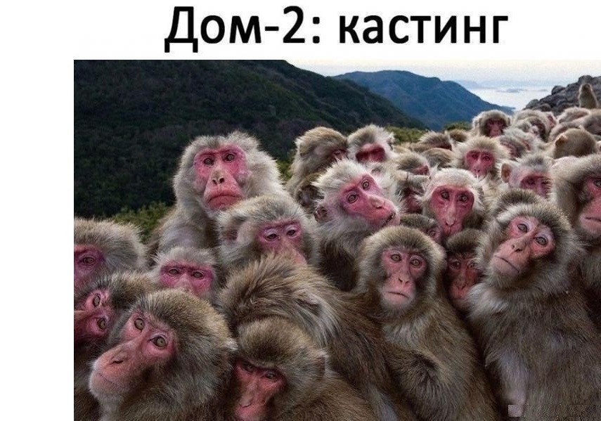 Дом 2 кастинг