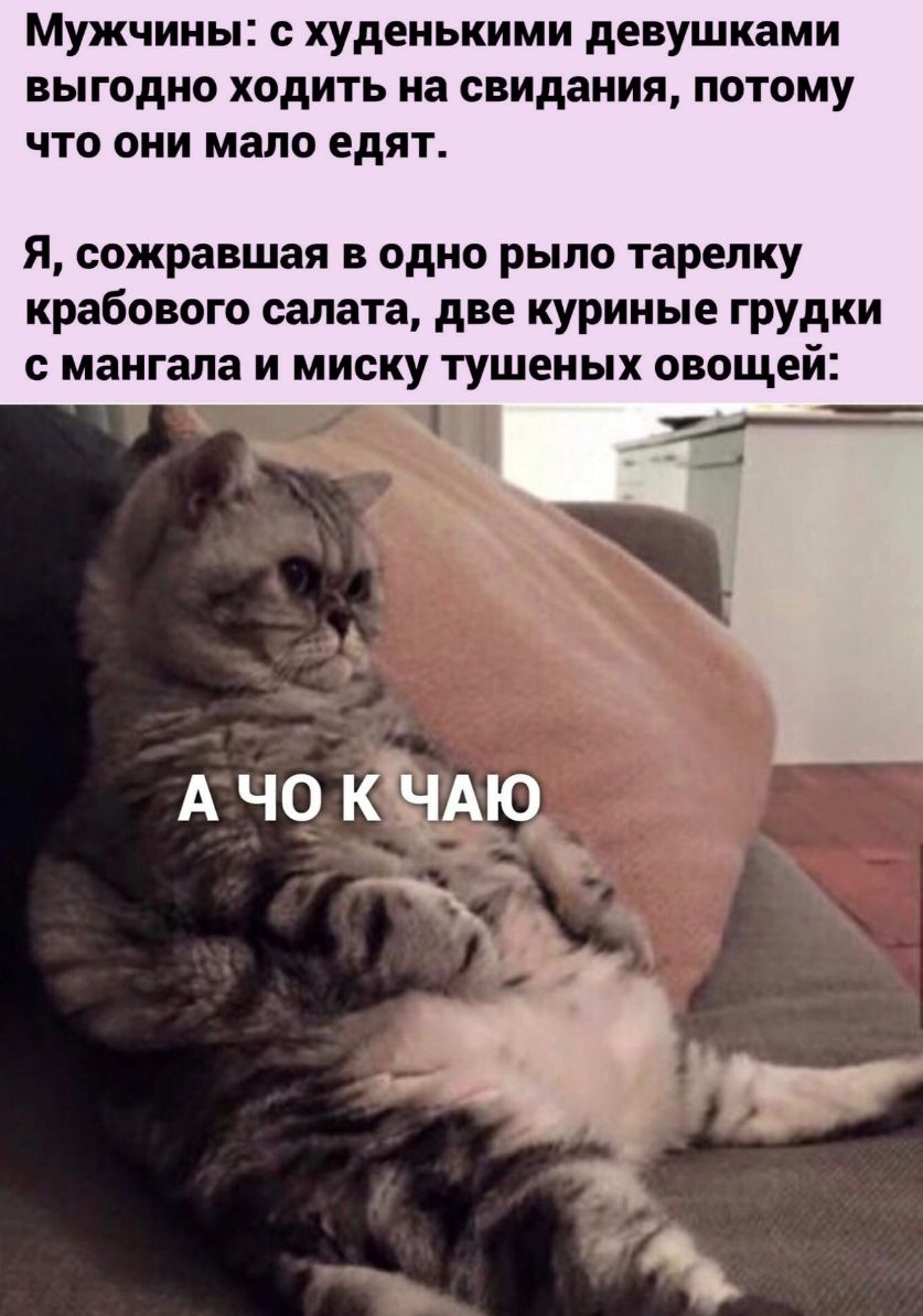 МУЖЧИНЫ с худенькими девушками ВЫГОДНО ХОДИТЬ на свидания ПОТОМУ ЧТО ОНИ мало едят Я сожравшая в одно рыло тарелку крабового салата две куриные грудки с мангала и миску тушеных овощей