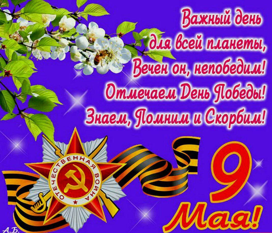91 910ини Скорбим ии