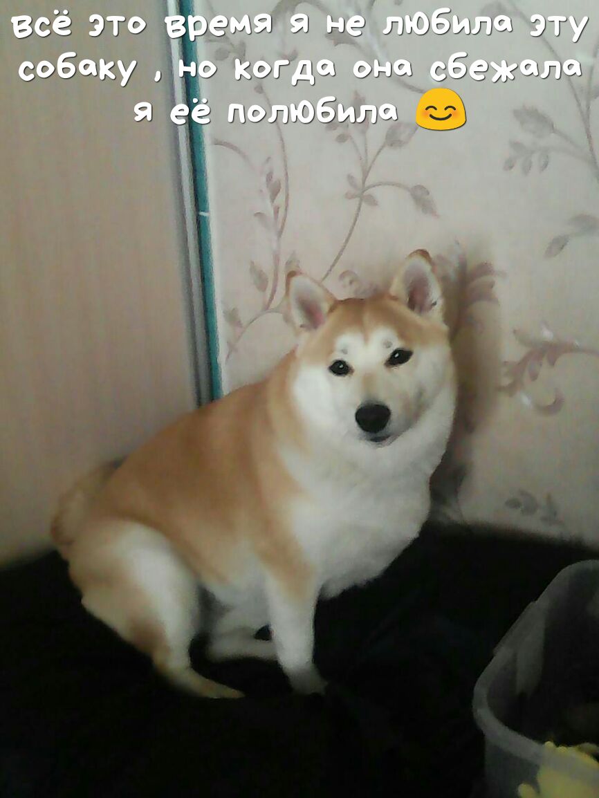 Оад 13 ШГЦ ГнЁДтіцт ЭГ д ру Г УГид Эл ч