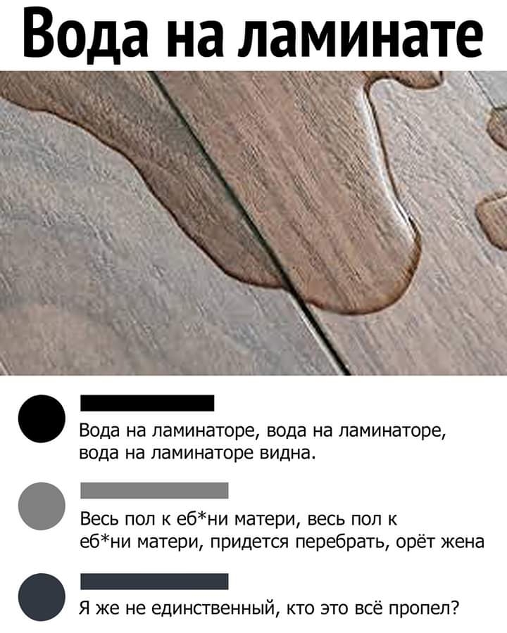 Вода на ламинате Вода на ламинаторе вода на ламинаторе вода на паминаторе видна Весь пол к ебни матери весь пол к ебни матери придется перебрать орёт жена Я же не единственный кто это всё пропел