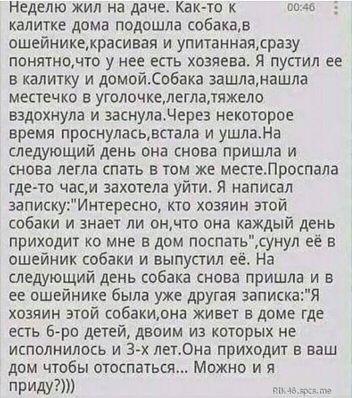 Неделю жил на даче Как то к воно калитке дома подошла собакав ошейникекрасивая и упитаннаясра3у понятночто у нее есть хозяева Я пустил ее в калитку и домойСобака зашланашла местечко в уголочкелеглатяжело вздохнула и заснулаЧерез некоторое время проснуласьвстала и ушлаНа следующий день она снова пришла и снова легла спать в том же местеЛроспала гдето часи захотела уйти я написал запискуИнтересно кт