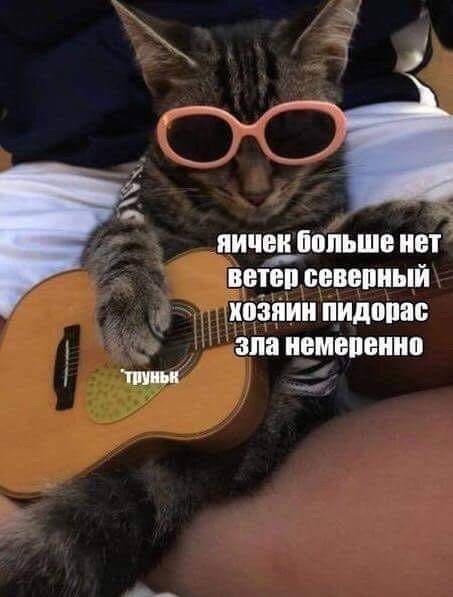 пичабппьшв нет ветви свввпиыи хозяин пидопас апа изменении