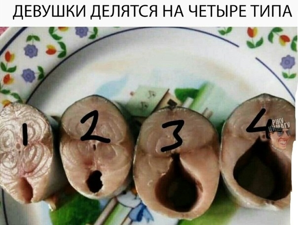 ДЕВУШКИ ДЕЛЯТСЯ НА ЧЕТЫРЕ ТИПА