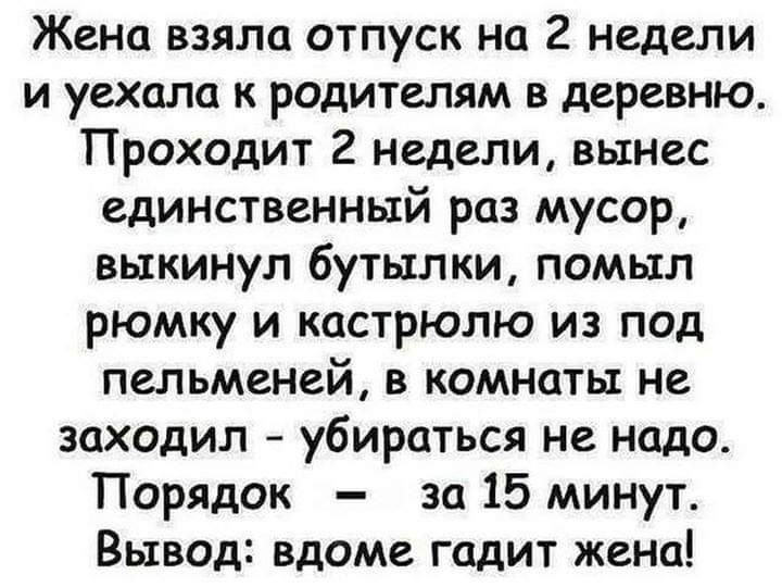 Жена взяла отпуск на 2 недели и уехала к родителям в деревню Проходит 2 недели вынес единственный раз мусор выкинул бутылки помыл рюмку и кастрюлю из под пельменей в комнаты не заходил убираться не надо Порядок за 15 минут Вывод вдоме гадит жена