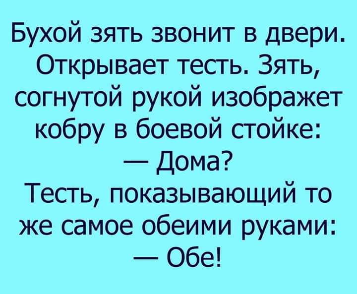 Бухой зять звонит в двери Открывает тесть Зять согнутой рукой изображет кобру в боевой стойке Дома Тесть показывающий то же самое обеими руками Обе