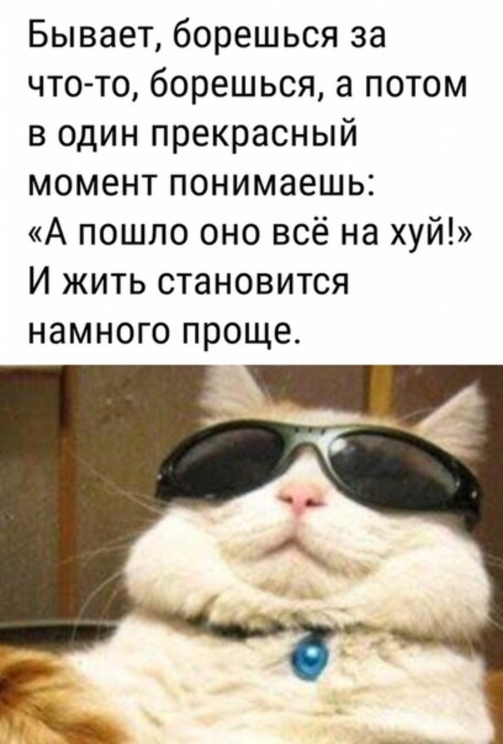 Бывает борешься за что то борешься а потом в один прекрасный момент понимаешь А пошло оно всё на хуй И жить становится НЭМНОГО проще