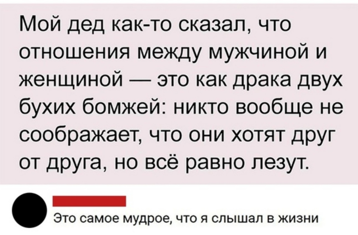 Мой дед как то сказал что отношения между мужчиной и женщиной это как драка двух бухих бомжей никто вообще не соображает что они хотят друг от друга но всё равно лезут _ Это самое мудрое что я слышал в жизни