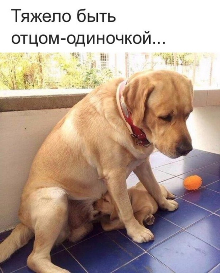 Тяжело быть отцом одиночкой