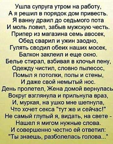 Ушла супруга утром на работу А и решил в порядок дом привесть Я ванну драил до седьмого пота И моль повип забыв мужскую честь ПРИПЕР ИЗ МЕГЕЗИНЗ СЕМЬ ЕВПСЕК Обед сварил и ужин заодно Г упять сводил обеих наших мосек Балкон заклеил и еще окно Белье стирал забивая в клочья пену Одежду чистил словно пьшесос ПОМЫП Я ПОТОЛКИ ПОПЫ И СТЕНЫ И даже свой немытый нос День пролетел Жена домой вернулась Вокруг