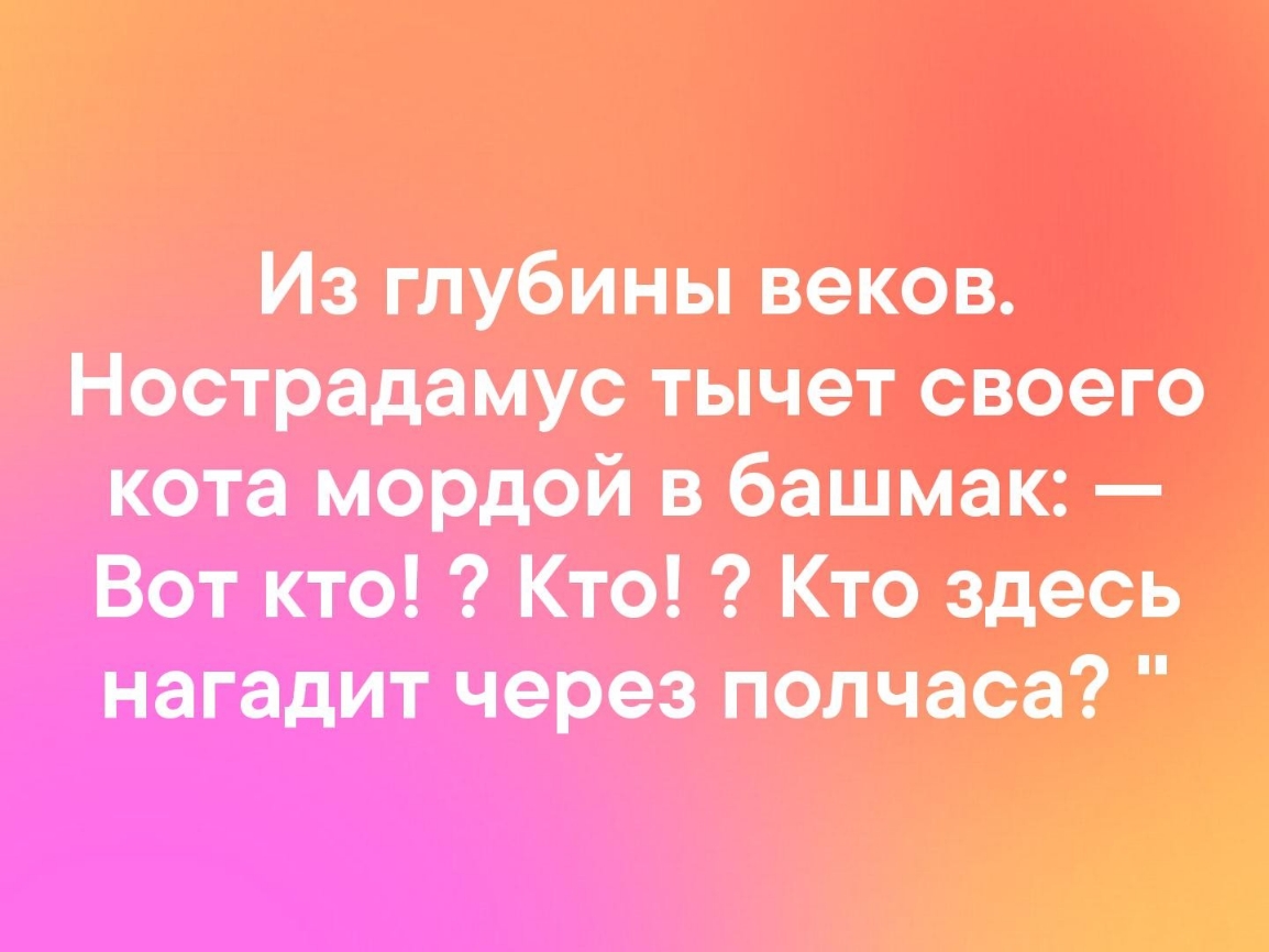 Из глубины веков Нострадамус тычет своего кота мордой в башмак Вот кто Кто Кто здесь нагадит через полчаса