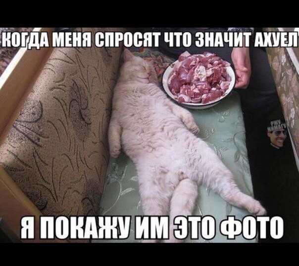 поимки м это фото