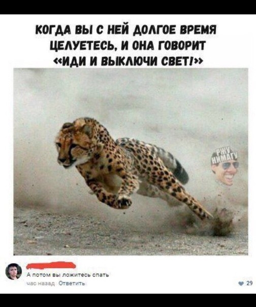 КОГДА ВЫ ИЕИ АОАГОЕ ВРЕМЯ ЦЕЛУЕТЕОЬ И ОНА Г ОБОРИТ ИАИ И ВЫКМОЧИ СВЕТ