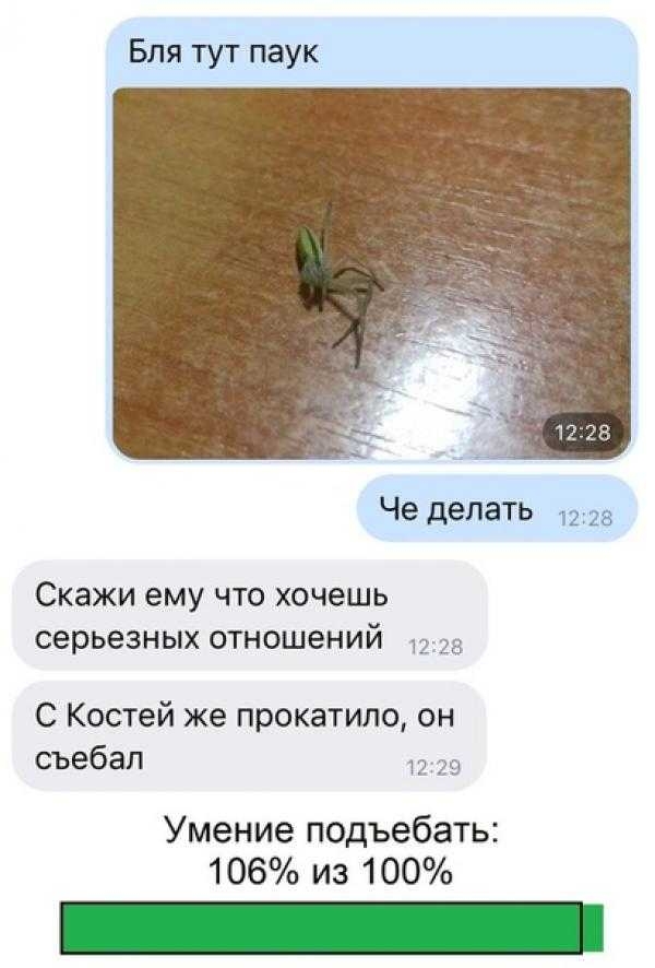 Бля тут паук Че делать СКЗЖИ ему ЧТО ХОЧЕШЬ СЕРЬЭЗНЫХ ОТНОШЕНИЙ д С Костей же прокатило он съебал Умение подъебать 106 из 100