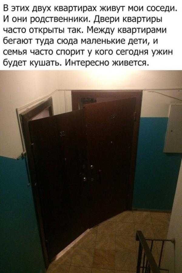 В этих двух квартирах живут мои соседи И они родственники Двери квартиры часто открыты так Между квартирами бегают туда сюда маленькие дети и семья часто спорит у кого сегодня ужин будет кушать Интересно живется