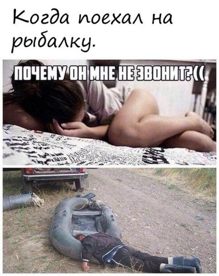 Когда шавка на рыбажу