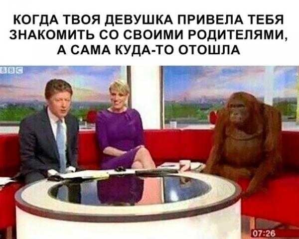 КОГДА ТВОЯ ДЕВУШКА ПРИВЕЛА ТЕБЯ ЗНАКОМИТЬ СО СВОИМИ РОДИТЕЛЯМИ А САМА КУДА ТО ОТОШПА