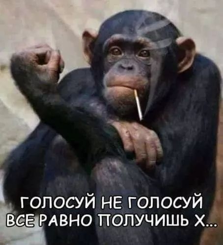 голосуй не голосуй Еее РАВНО получишь х