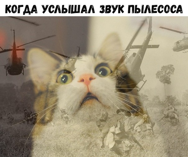 КОГ АА УСАЫШАА ЗВУК ПЫАЕСОСА