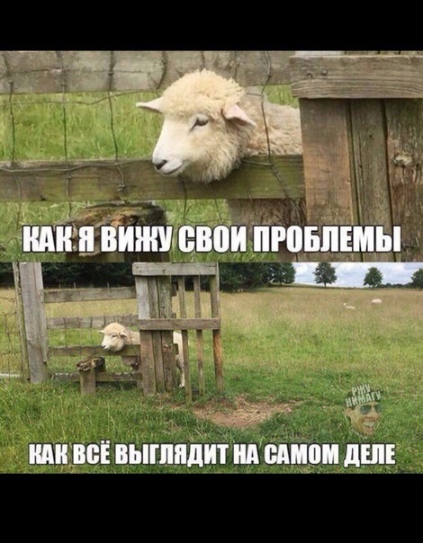 ч _ НИШ БЫППЩШ Ш ЦМШ ЛШ