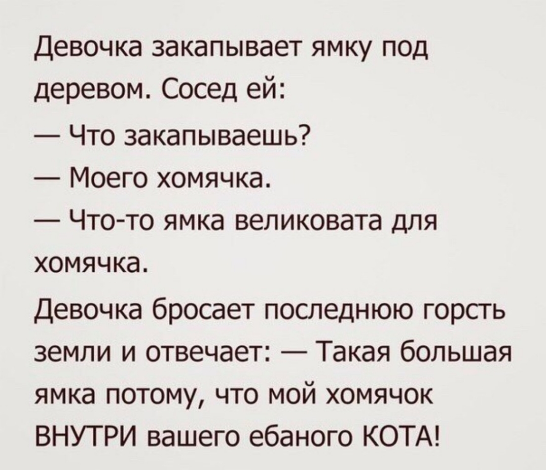 Девочка закапывает ямку под деревом Сосед ей Что закапываешь Моего хомячка Что то ямка великовата для хомячка Девочка бросает последнюю горсть земли и отвечает Такая большая ямка потому что мой хомячок ВНУТРИ вашего ебаного КОТА