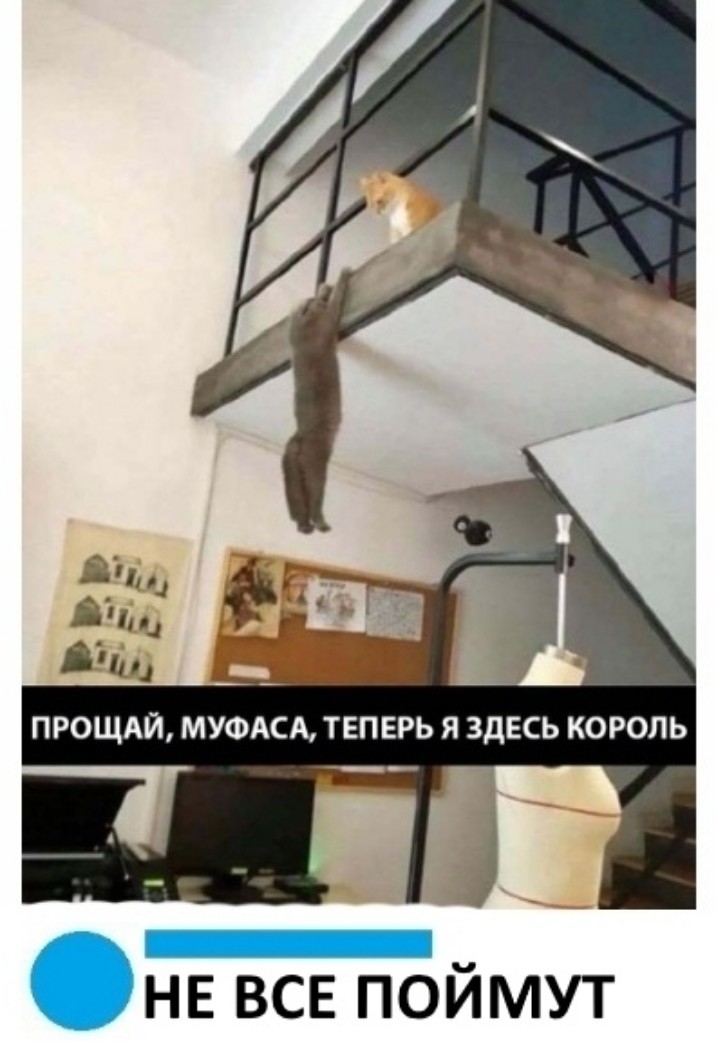 НЕ все поймут