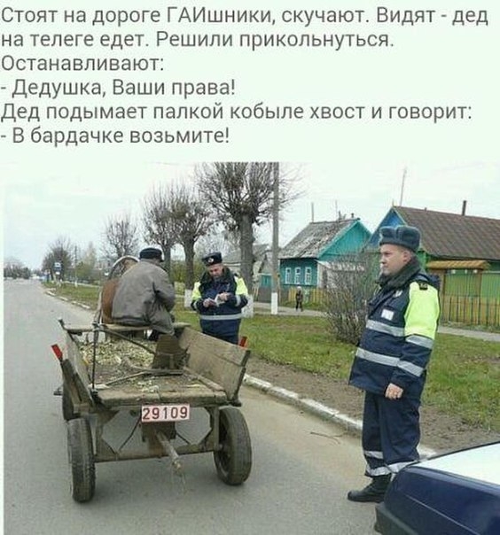 Стоят на дороге ГАИшники скучают Видят дед на телеге едет Решили прикольнуться Останавливают Дедушка Ваши права дед подымает папкой кобыле хвост и говорит В бардачке возьмите