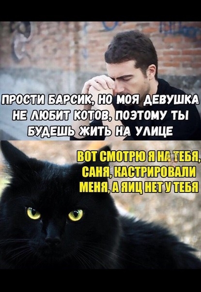 пранк ио моя днищ ав поэтому ты