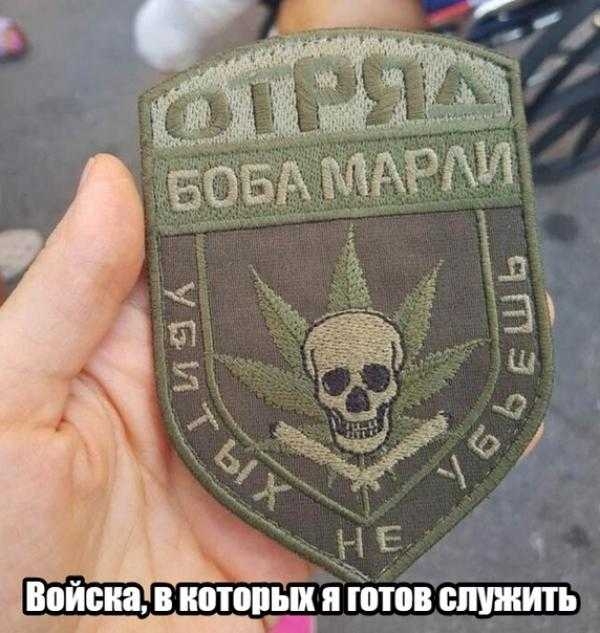 Войска которых я от служить