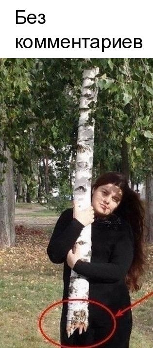 Без