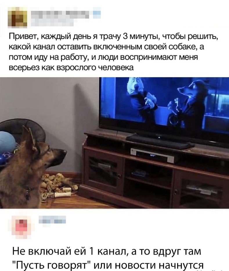 Привет каждый день я трачу 3 минуты чтобы решить какой канал оставить включенным своей собаке а потом иду на работу и люди воспринимают меня всерьез как взрослого человека Не включай ей 1 канал а то вдруг там П сть гово т или новости начн тся