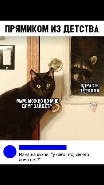 ПРЯМИКОМ ИЗ ДЕТСТВА ЗДРАСТЕ ТЁТЯ ОЛЯ МАМ МОЖНО КО МНЕ ДРУГ ЗАЙДЁТР 2 не у него что своего