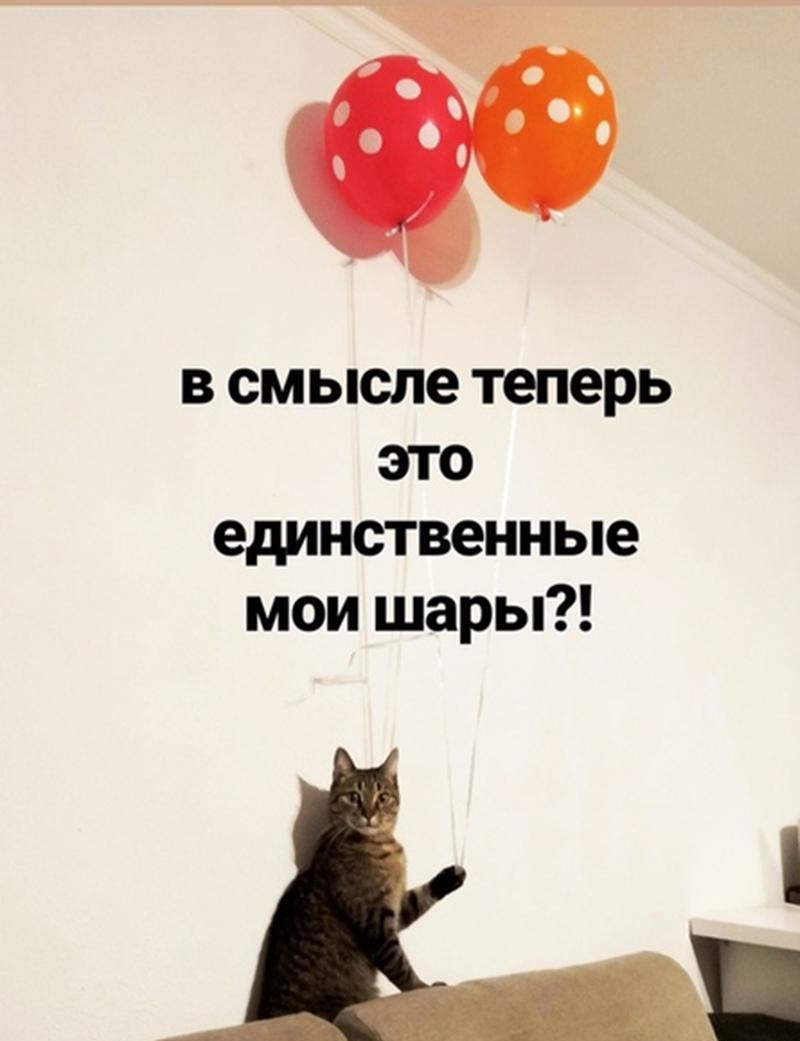 в смысле теперь это единственные мои шары