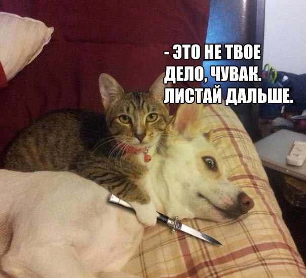 это и тво дшптвдн дпиемидппьшв 3 _