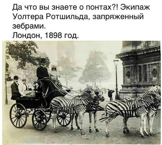 Да что вы знаете о понтах Экипаж Уолтера Ротшильда запряженный зебрами Лондон 1898 год