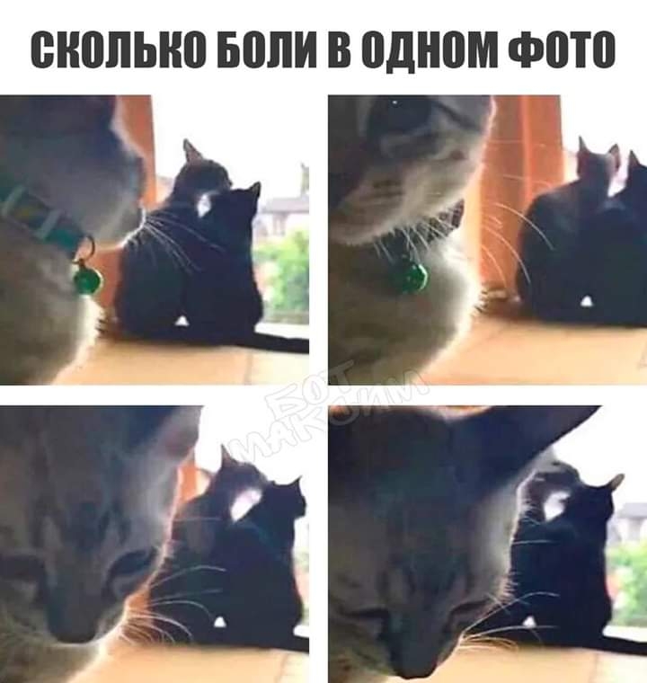 ВШШЫЮ БОЛИ В одном ФПП
