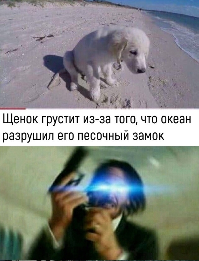 1 __ Щенок грустит из за того что океан разрушил его песочный замок