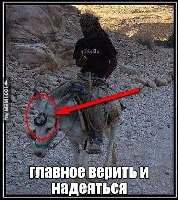 ими т и а _Шавное партии надентьш