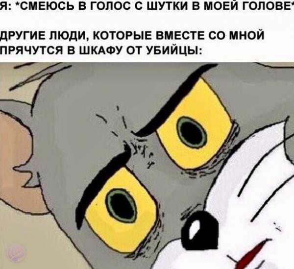 СМЕЮСЬ В ГОЛОС С ШУТКИ В МОЕИ ГОЛОВЕ РУГИЕ ЛЮДИ КОТОРЫЕ ВМЕСТЕ СО МНОЙ РЯЧУТСЯ В ШКАФУ ОТ УБИЙЦЫ
