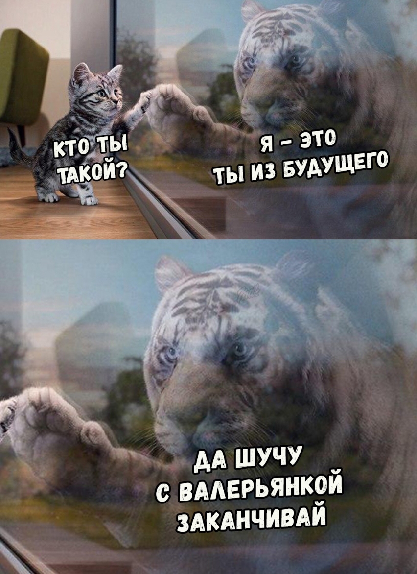 _ дд шучу с _вмврьянк9и ЗАКАНЧИВАИ