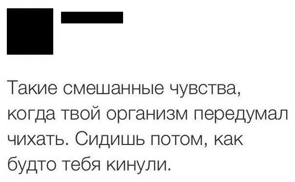 Такие смешанные чувства когда твой организм передумал чихать Сидишь потом как будто тебя кинули