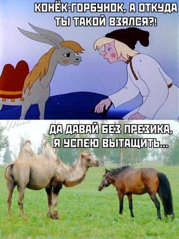 кпнЁ к гпрвннпк шп пткндд ШШ такий ваяния ЁЁМ Ж шыш3нтшзззхщ пни