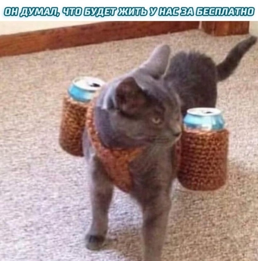 ЖИТЬ БЕЕПЛАТНП
