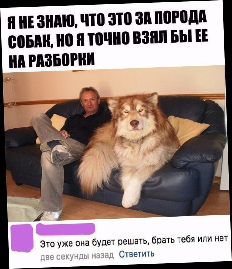 Е ЗНАЮ ЧЮ 310 ЗП ШШШ 005 но и ТВ ВЗЯЛ БЫ ЕЕ Это уже она будет решать брать тебя или нет Ответить